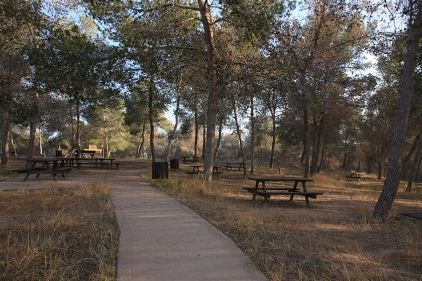 שולחנות נגישים בחניון בארי הישנה. צילום: יעקב שקולניק