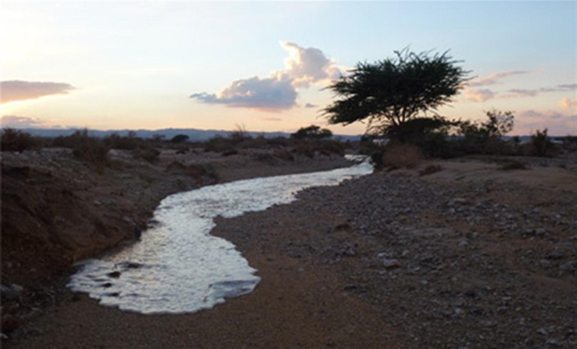 שיטפון בנחל גדרון, 2012. צילום: הילה אלבז