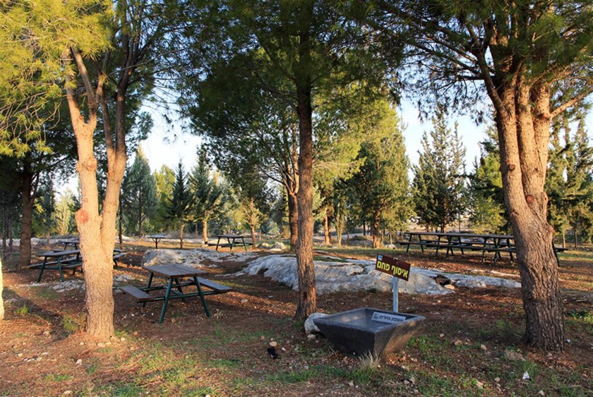 חניון שרה ואהרון שיימש. צילום: יעקב שקולניק