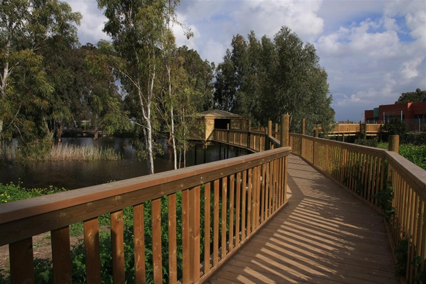 השביל אל מצפור השלולית. צילום: יעקב שקולניק