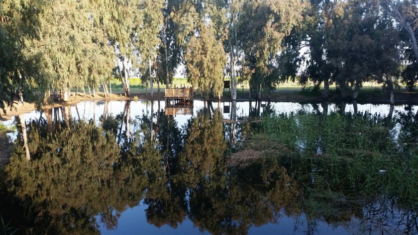 שלולית שפיר. צילום: מושקו רום