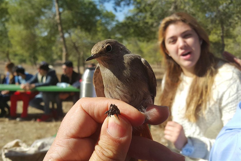 יער להב: טיול לאתר כנפי קק