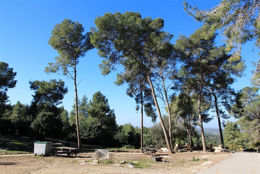 חניון שריגים. צילום: יעקב שקולניק