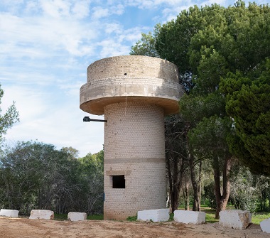 יער חסה, גבעה 69. צילום: בוני שיינמן, קק"ל