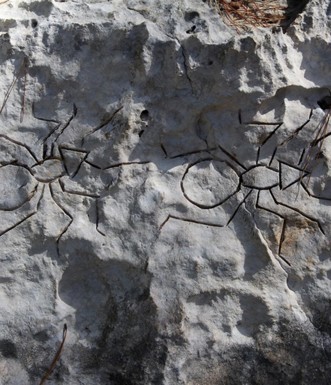 חרקים. יצירתו של גרשון היימן. צילום: יעקב שקולניק