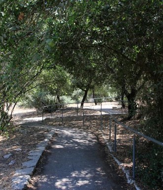 השביל. צילום: יעקב שקולניק