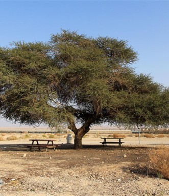 חניון נחל עומר. צילום: יעקב שקולניק