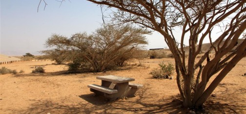 חניון לילה נחל שיזף. צילום: יעקב שקולניק