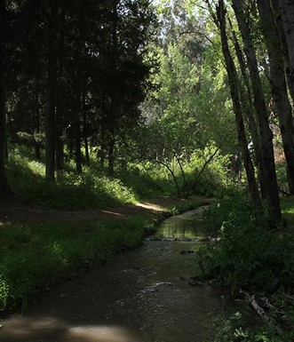 נוף בנחל קיני. צילום: יעקב שקולניק