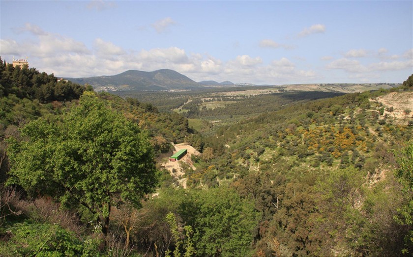 מבט על הר מירון. צילום: יעקב שקולניק