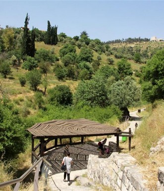 מראה כללי של הפארק. צילום: יעקב שקולניק