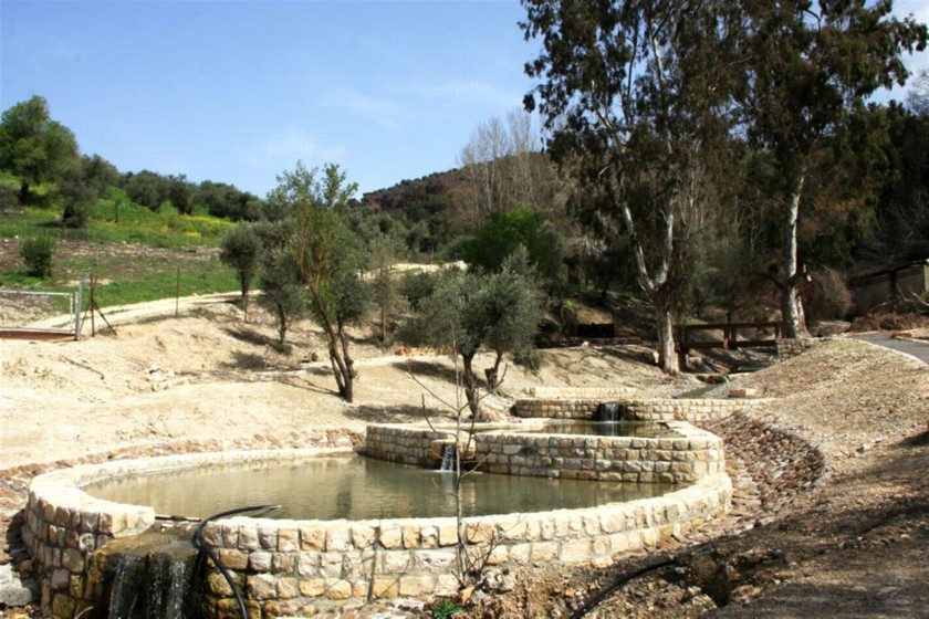 הבריכות העליונות. צילום: יעקב שקולניק