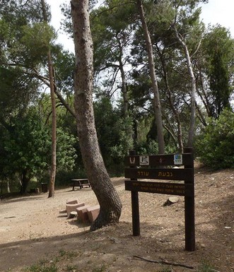 חורבת סיפן, היא גבעת עודד. צילום: יעקב שקולניק