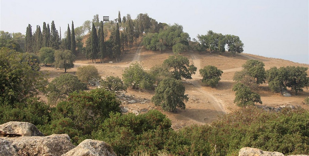 מסלול טיול ברכב פרטי: בין נהלל ליפעת