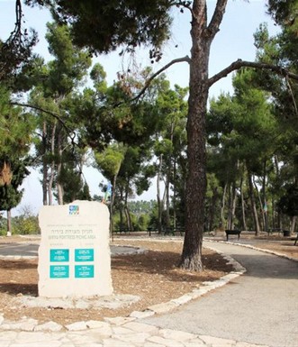 חניון הפיקניק במצודת ביריה. צילם: יעקב שקולניק