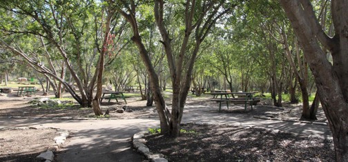 חניון השיירה. צילום: יעקב שקולניק