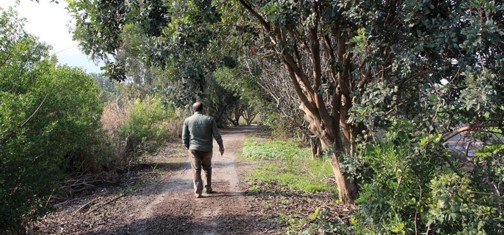בוסתן תל זהרה. צילום: יעקב שקולניק