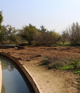 בוסתן נחל עמל. צילום: יעקב שקולניק