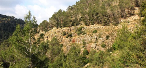 מצוק בנחל כסלון. צילום: יעקב שקולניק