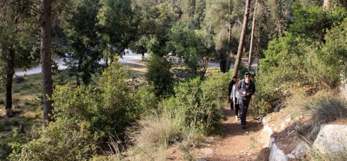 השביל העולה ממערת בני ברית. צילום: יעקב שקולניק