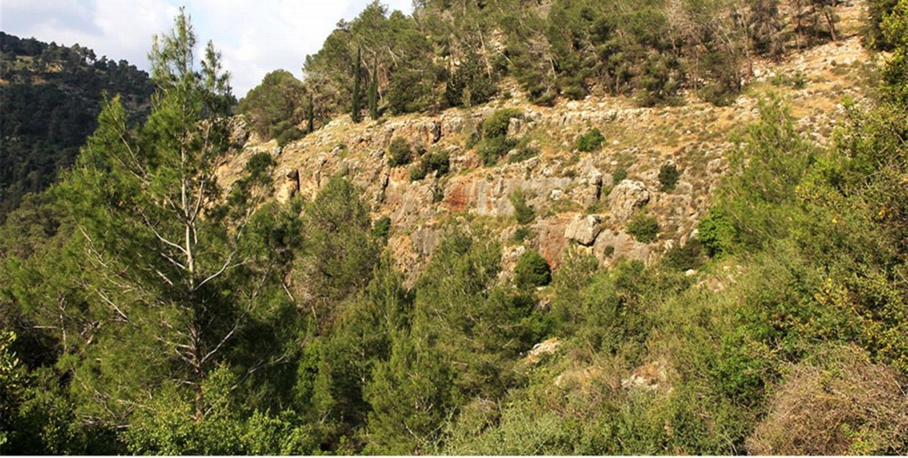 מסלול יער הקדושים: מהמסרק לנחל כסלון. צילום: יעקב שקולניק