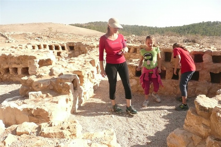 טיול באתרי יער להב | מסלולי טיולים | קק