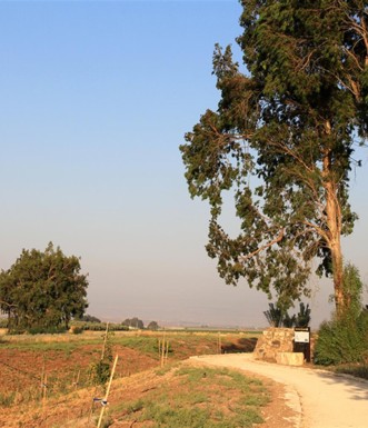 השביל לטחנת הקמח. צילום: יעקב שקולניק