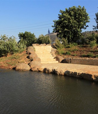 עצים מעטרים את הבריכה בפלג נחל חרוד. צילום: יעקב שקולניק