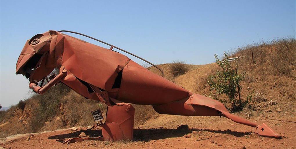 מסלול טיול ברכב פרטי בצפון הגולן