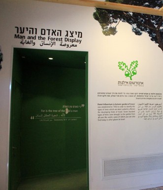 פינה במרכז המבקרים. צילום: יעקב שקולניק