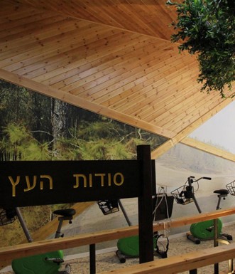 העץ שמוכן לגלות את סודותיו. צילום: יעקב שקולניק