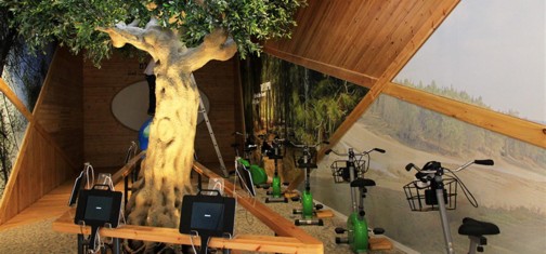 העץ שמוכן לגלות את סודותיו. צילום: יעקב שקולניק