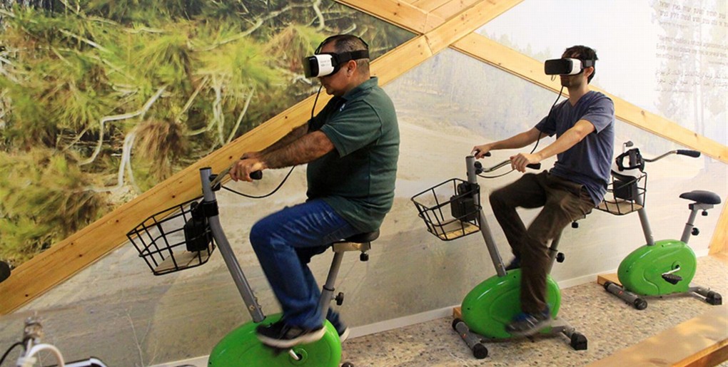 מסלול מרכז המבקרים החדש באילנות. צילום: יעקב שקולניק