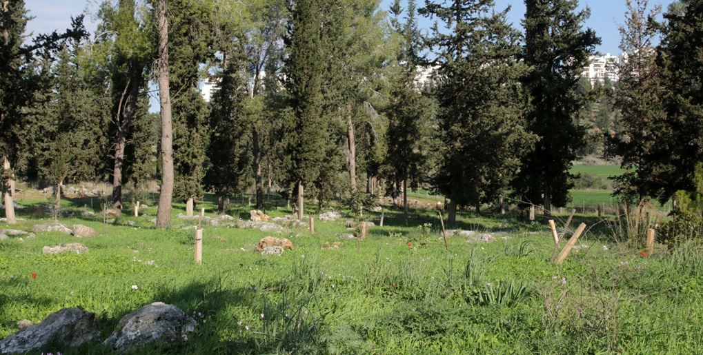 מראה כללי של הנוף בשביל. צילום: יעקב שקולניק, ארכיון הצילומים של קקל