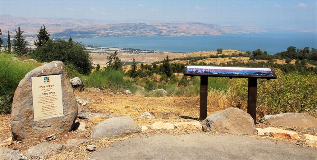 מסלול מצפורים חדשים בדרום הגולן. צילום: יעקב שקולניק