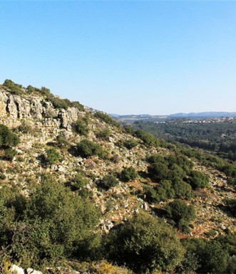 נוף מהמדרגה העליונה בשביל. צילום: יעקב שקולניק