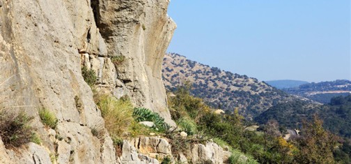 הצניר. צילום: יעקב שקולניק
