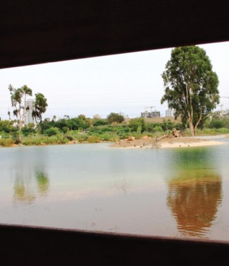 מבט מחלון המסתור. צילום: יעקב שקולניק