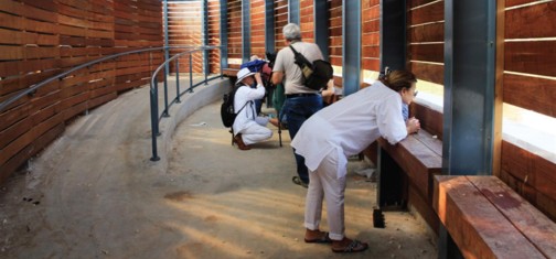 צופים בציפורים מהמסתור. צילום: יעקב שקולניק