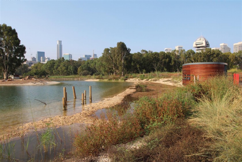 מצפור במרכז הצפרות. צילום: יעקב שקולניק