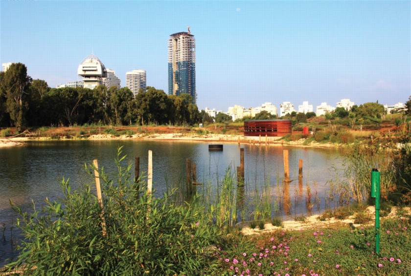 בתים, עצים וגן עדן קטן לציפורים. צילום: יעקב שקולניק