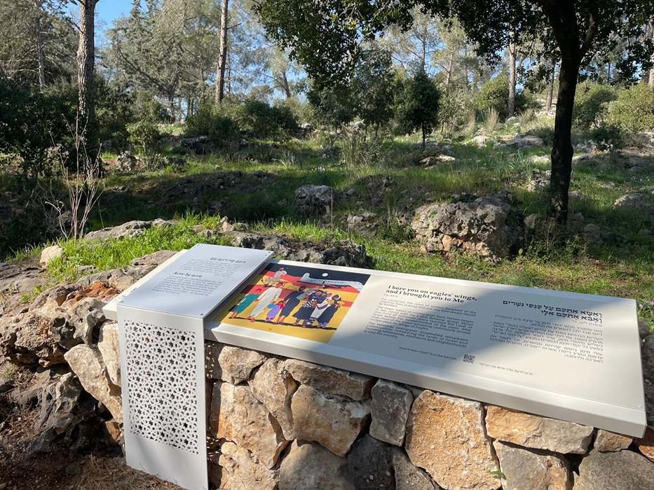 יער יהדות תימן. צילום: מירה זר, קק"ל