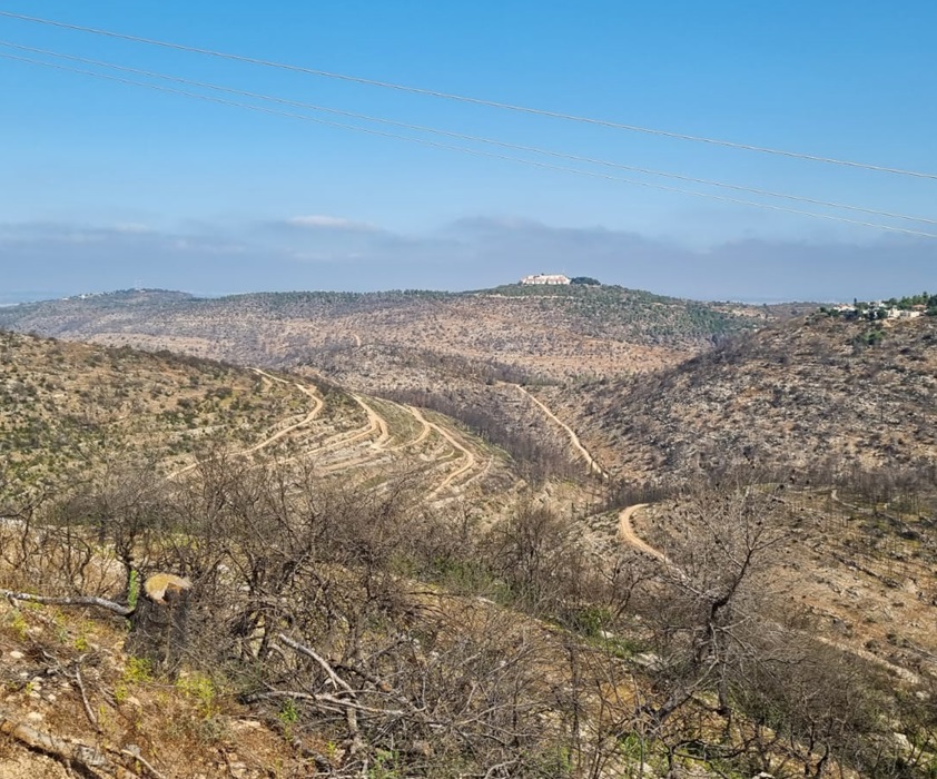 תוצאת שריפות הנראות לאורך הכביש. צילום: מאור אלרון