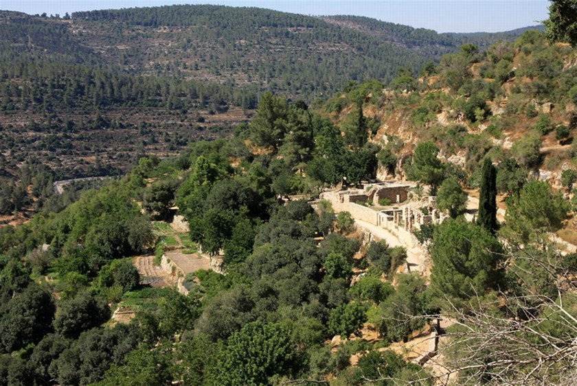 נוף סטף. צילום: יעקב שקולניק