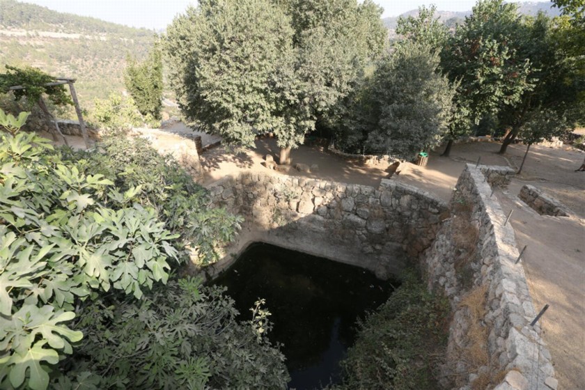 בריכת עין סטף. מבט מלמעלה. צילום: יוסי זמיר, ארכיון הצילומים, קק"ל