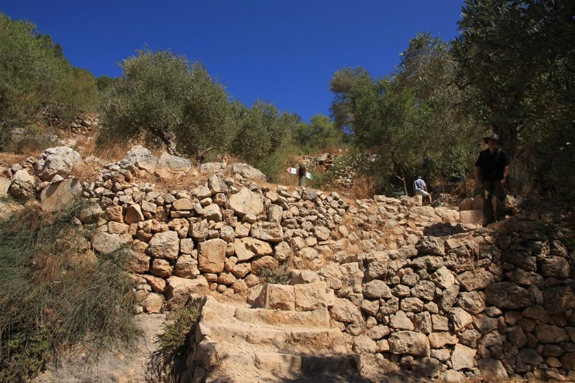 סטף. מדרגות חקלאיות. צילום: יעקב שקולניק