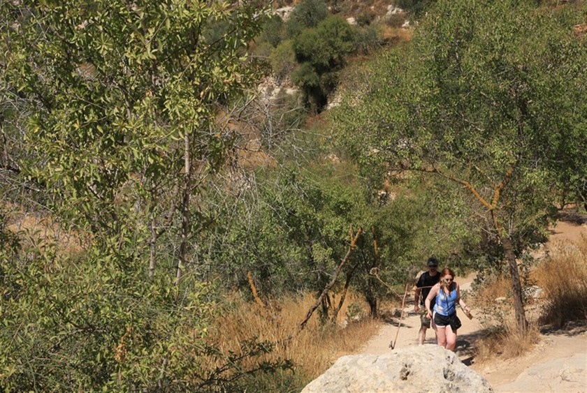 מטיילים בסטף. צילום: יעקב שקולניק