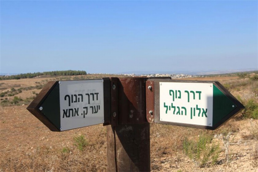 שלט הכוונה. צילום: יעקב שקולניק