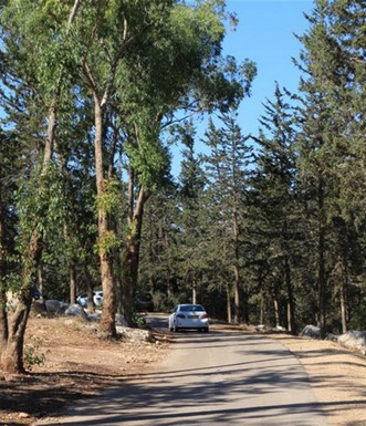 דרך הנוף ביער קרית אתא. צילום: יעקב שקולניק