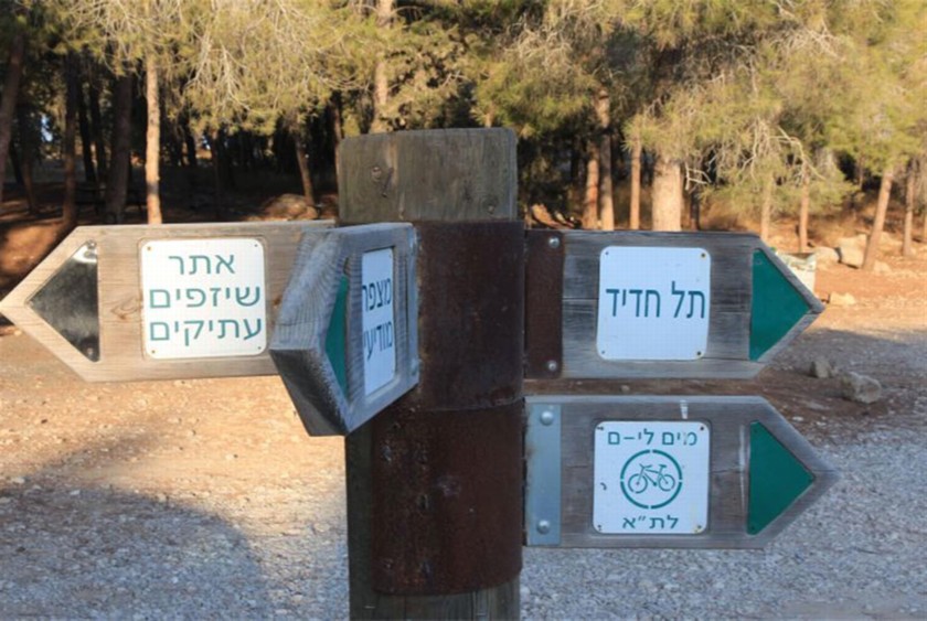 שלט הכוונה לשיזף הגדול. צילום: יעקב שקולניק